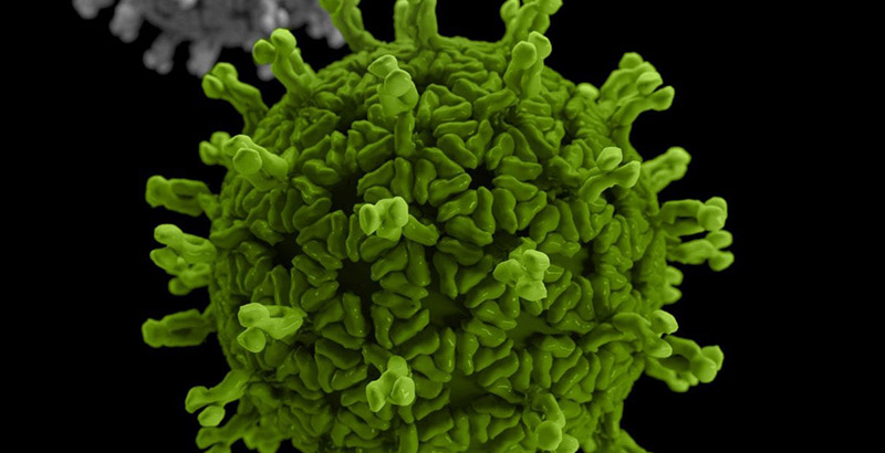 coronavirus COVID-19
