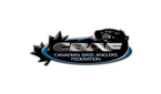 CBAF Logo